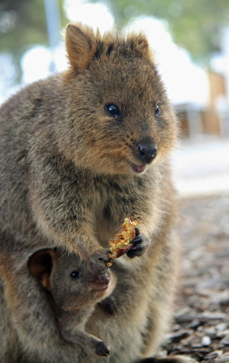 9c2531143db052391416551b5530a98a